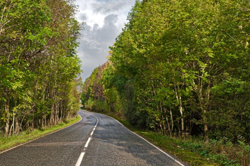 Chip Sealing Service